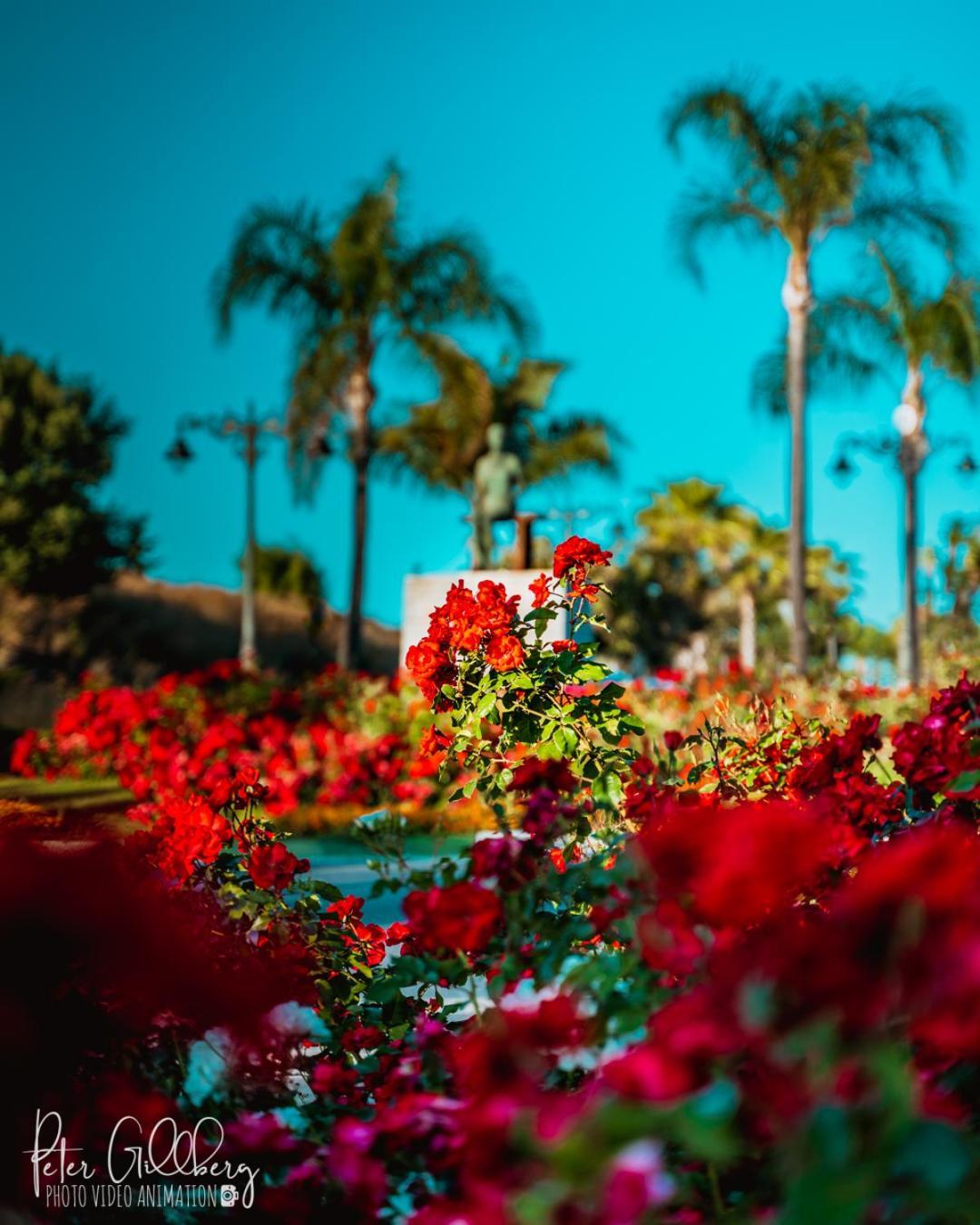에스테포나 Casa Catalina Beach And Golf 아파트 외부 사진